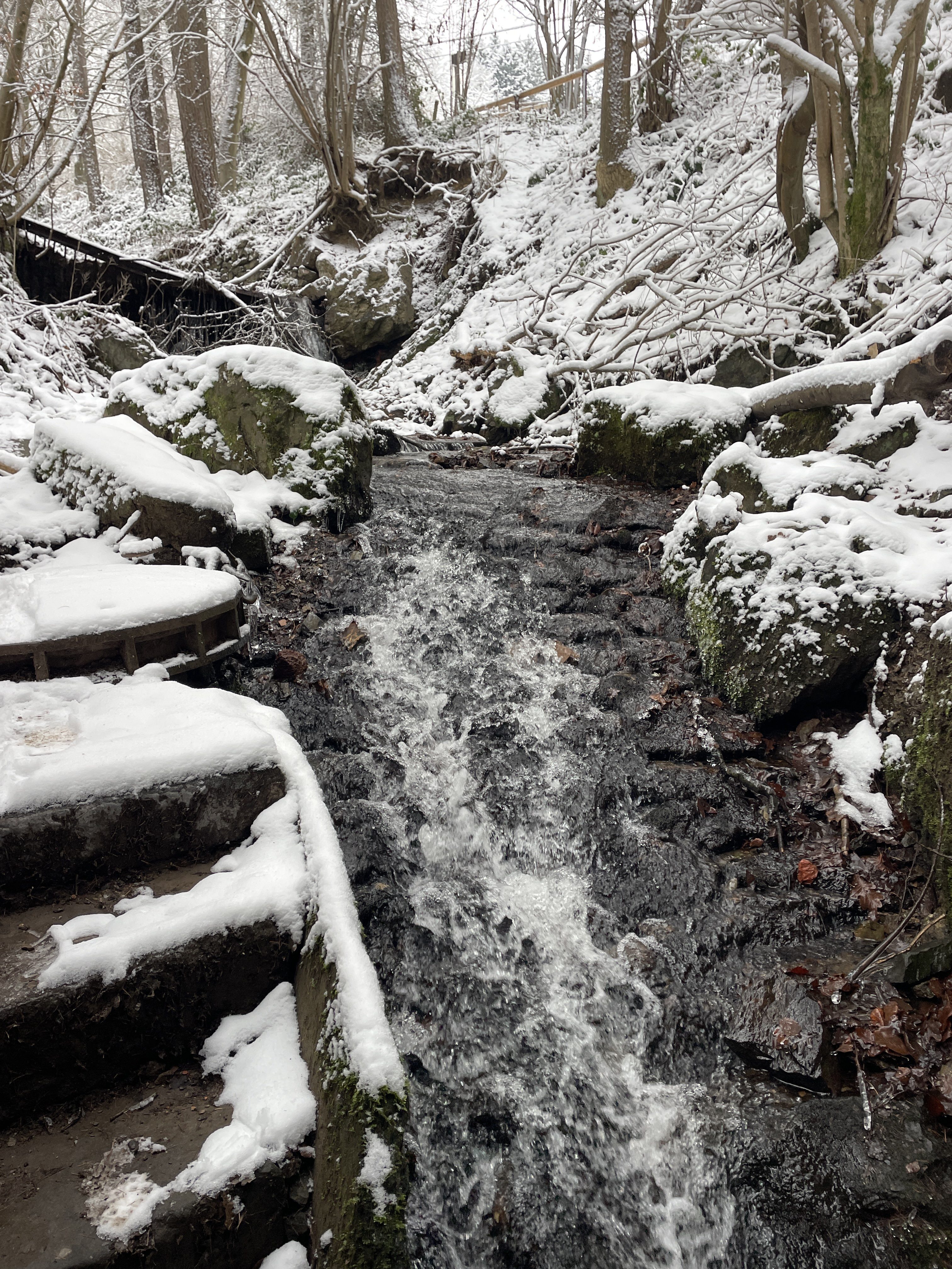 Au dessus de Religieuses 10, 4970 Stavelot, Belgium / 11-01-2026 15:07 / -2.58 °C en bewolkt / 331 m