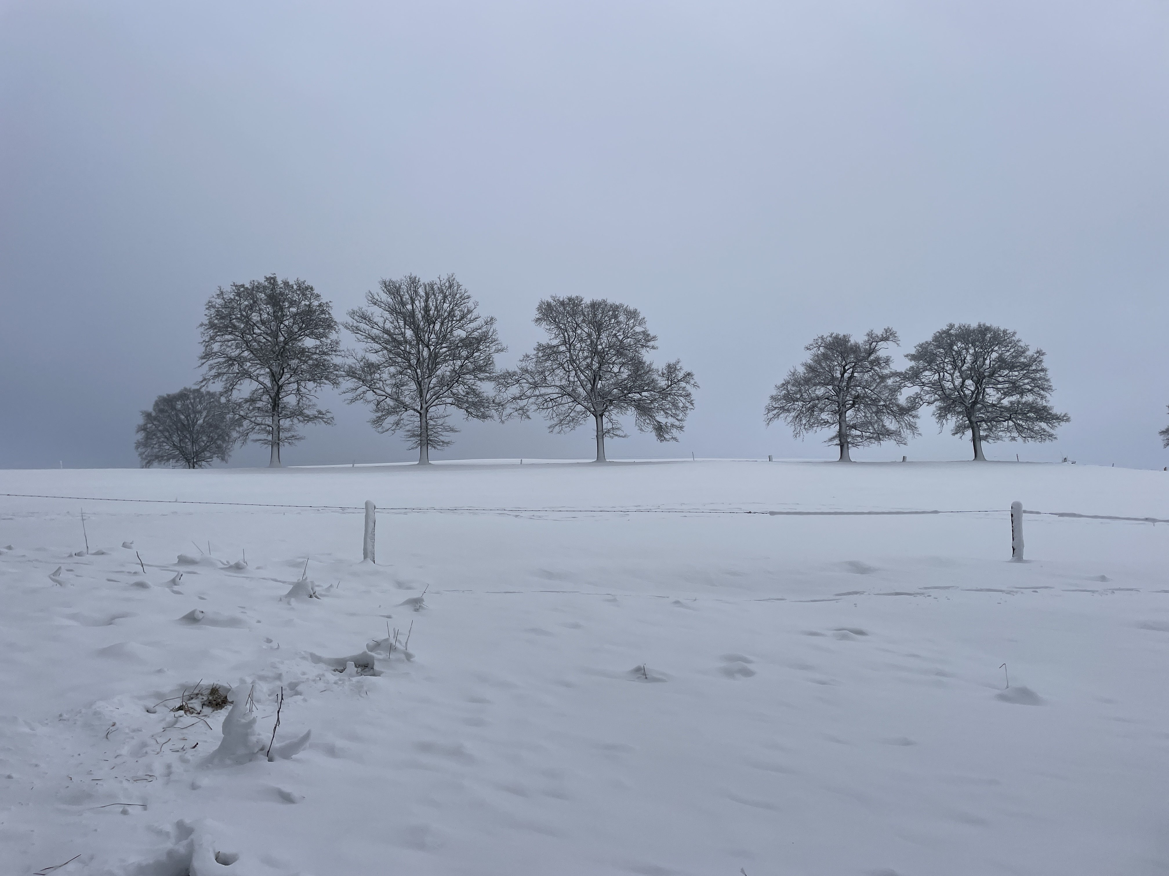 CW3C+5V Stavelot, Belgium / 11-01-2026 15:35 / -3.32 °C en bewolkt / 430 m