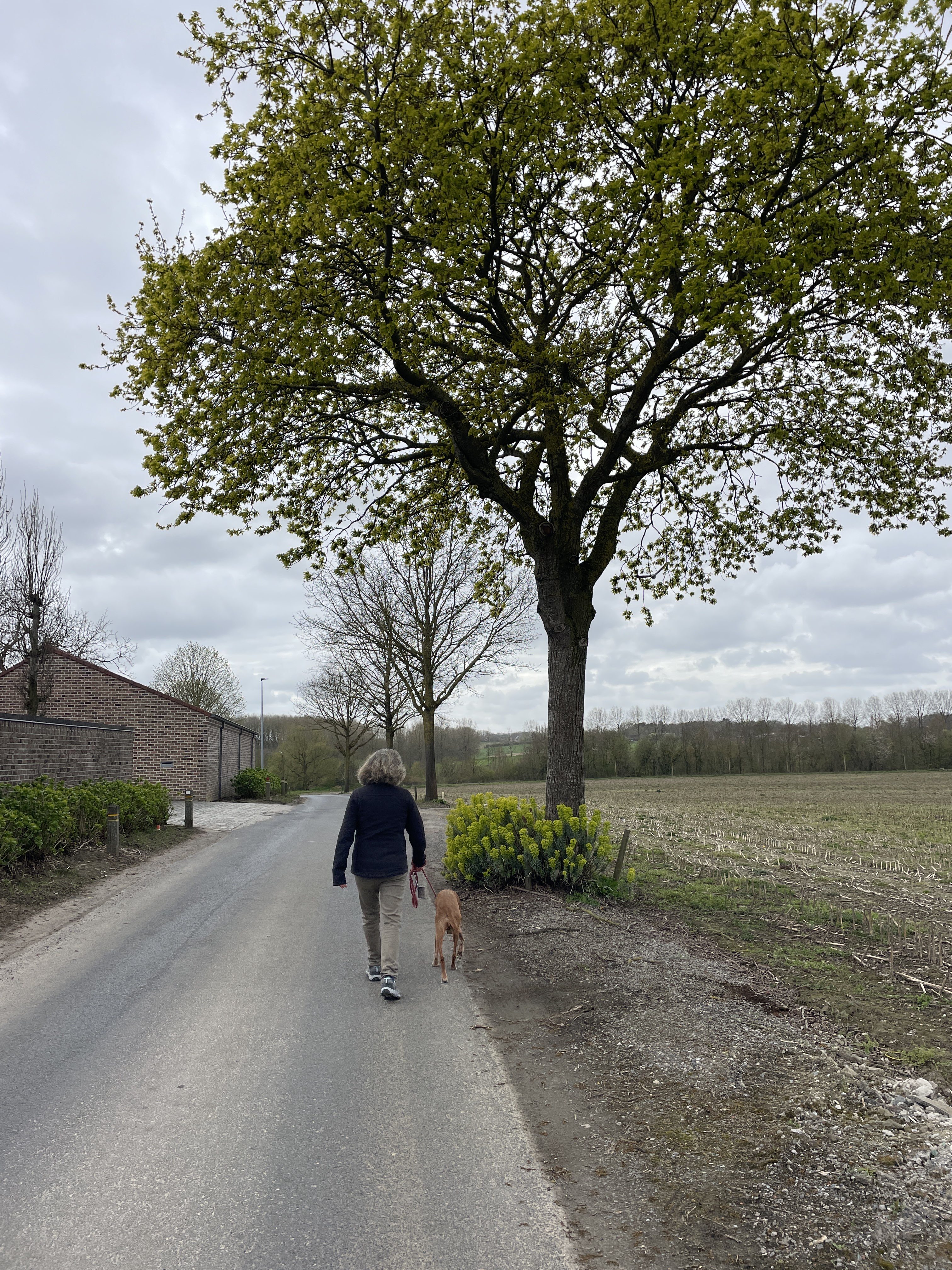 De Souterrain 1, 8552 Zwevegem, Belgium / 31-03-2026 15:25 / 9.9 °C en bewolkt / 49 m