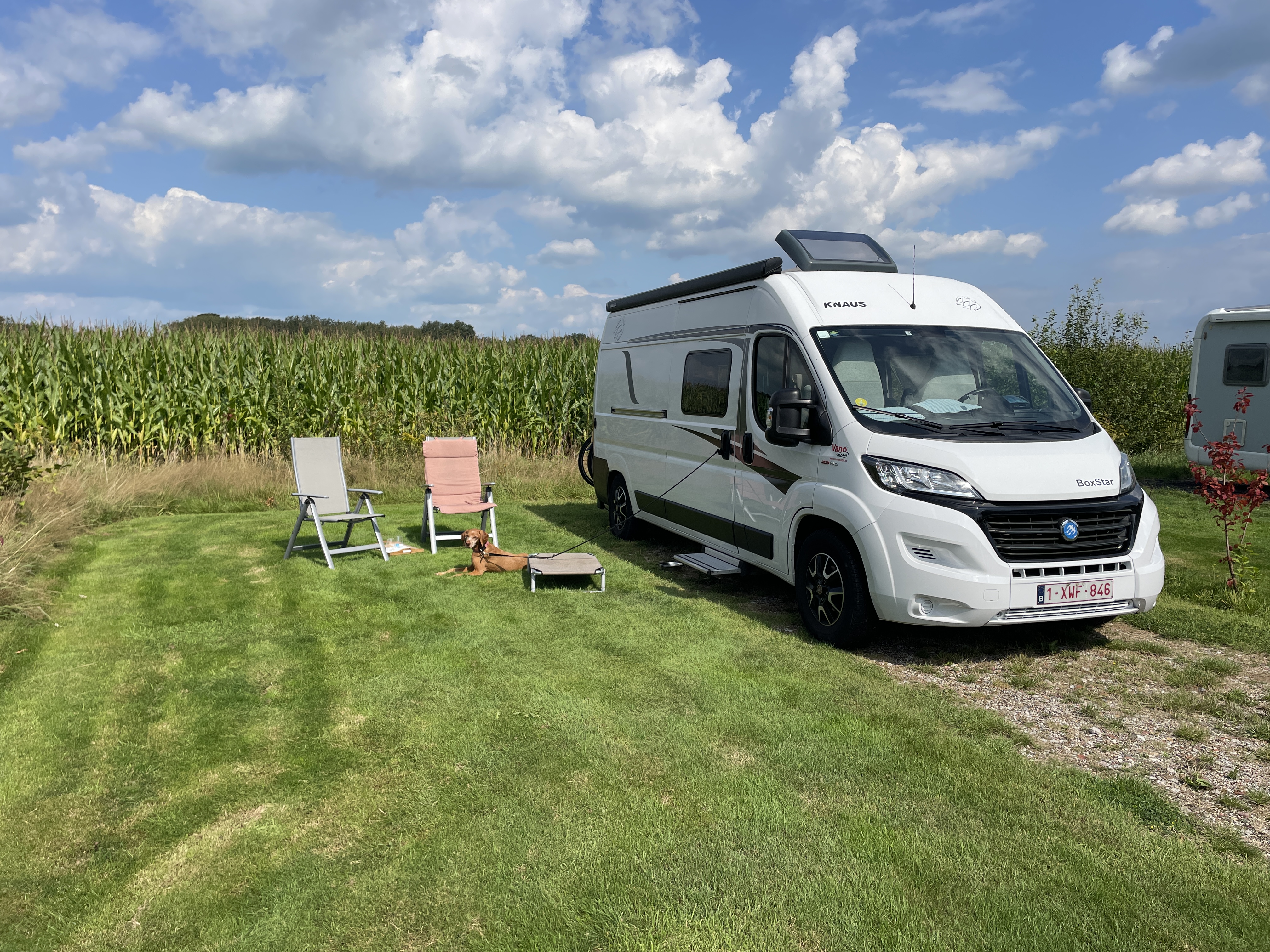 Terwisscha 17, 8426 SJ Appelscha, Netherlands / 25-08-2024 13:09 / 19.65 °C en licht bewolkt