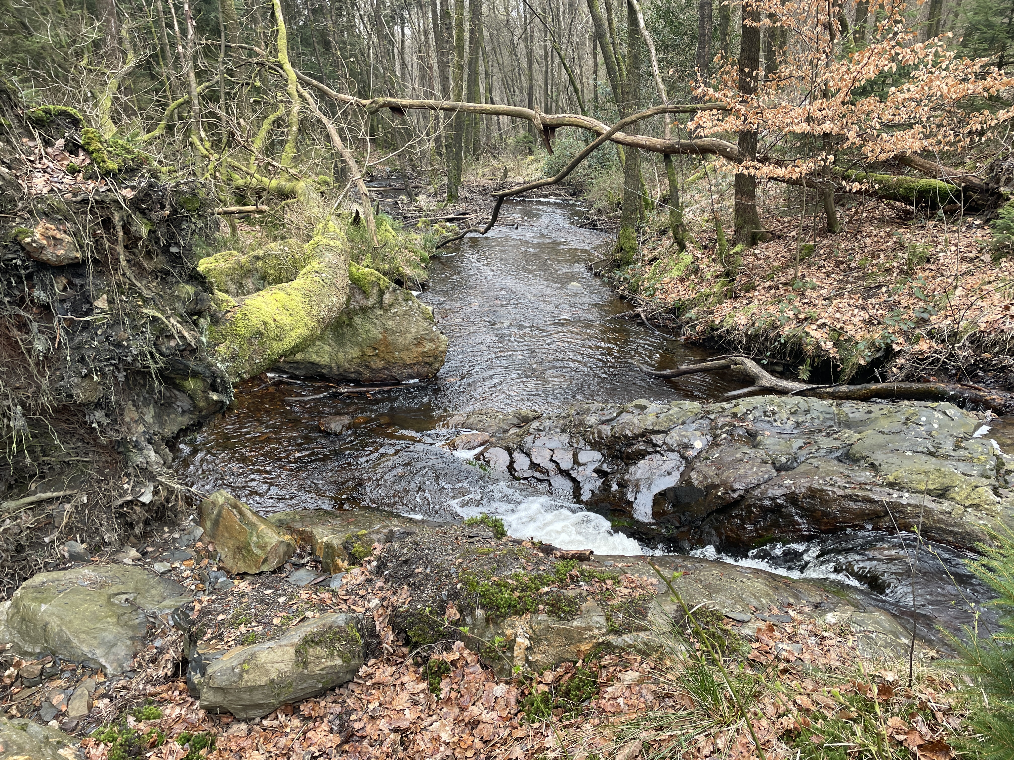 Tremblois-lès-Rocroi