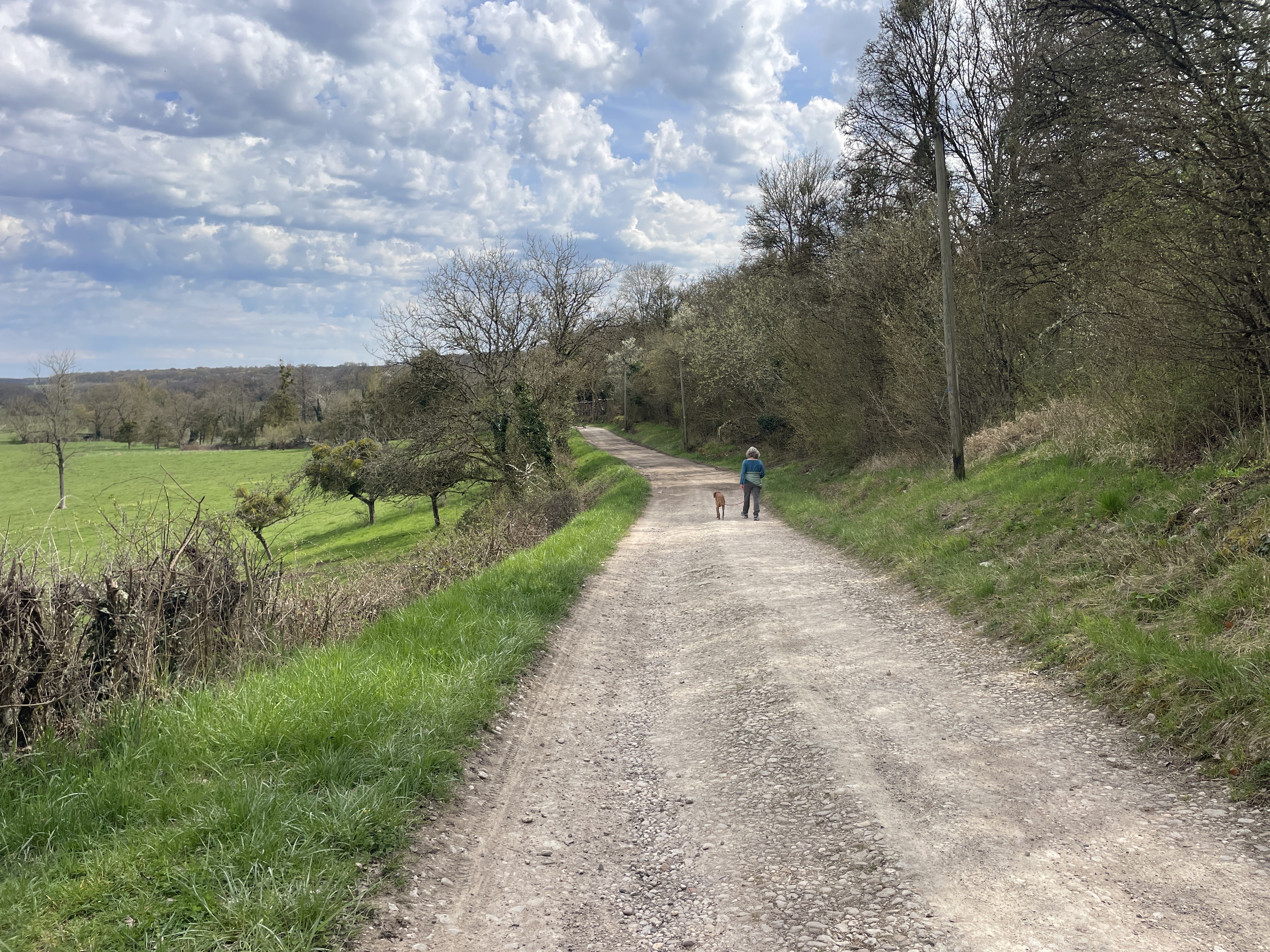 13 Rte de Seranville, 54830 Gerbéviller, France / 05-04-2026 14:54 / 14.65 °C en bewolkt / 249 m