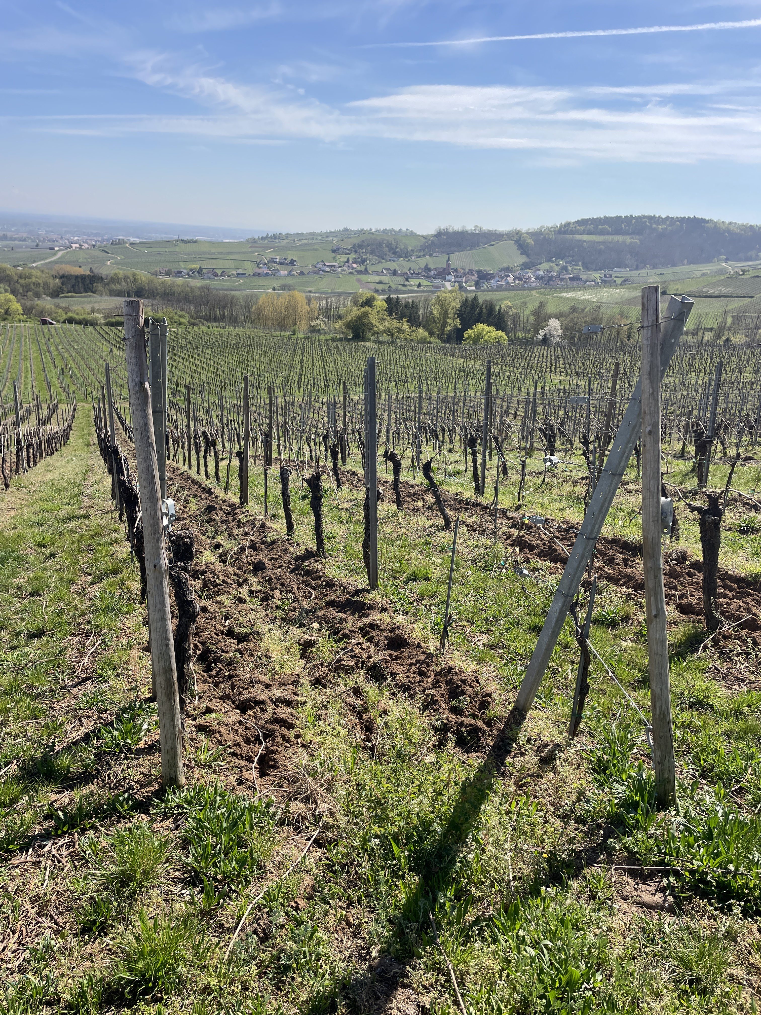 69P4+VG Saint-Hippolyte, France / 09-04-2026 15:21 / 19.92 °C en bewolkt / 324 m