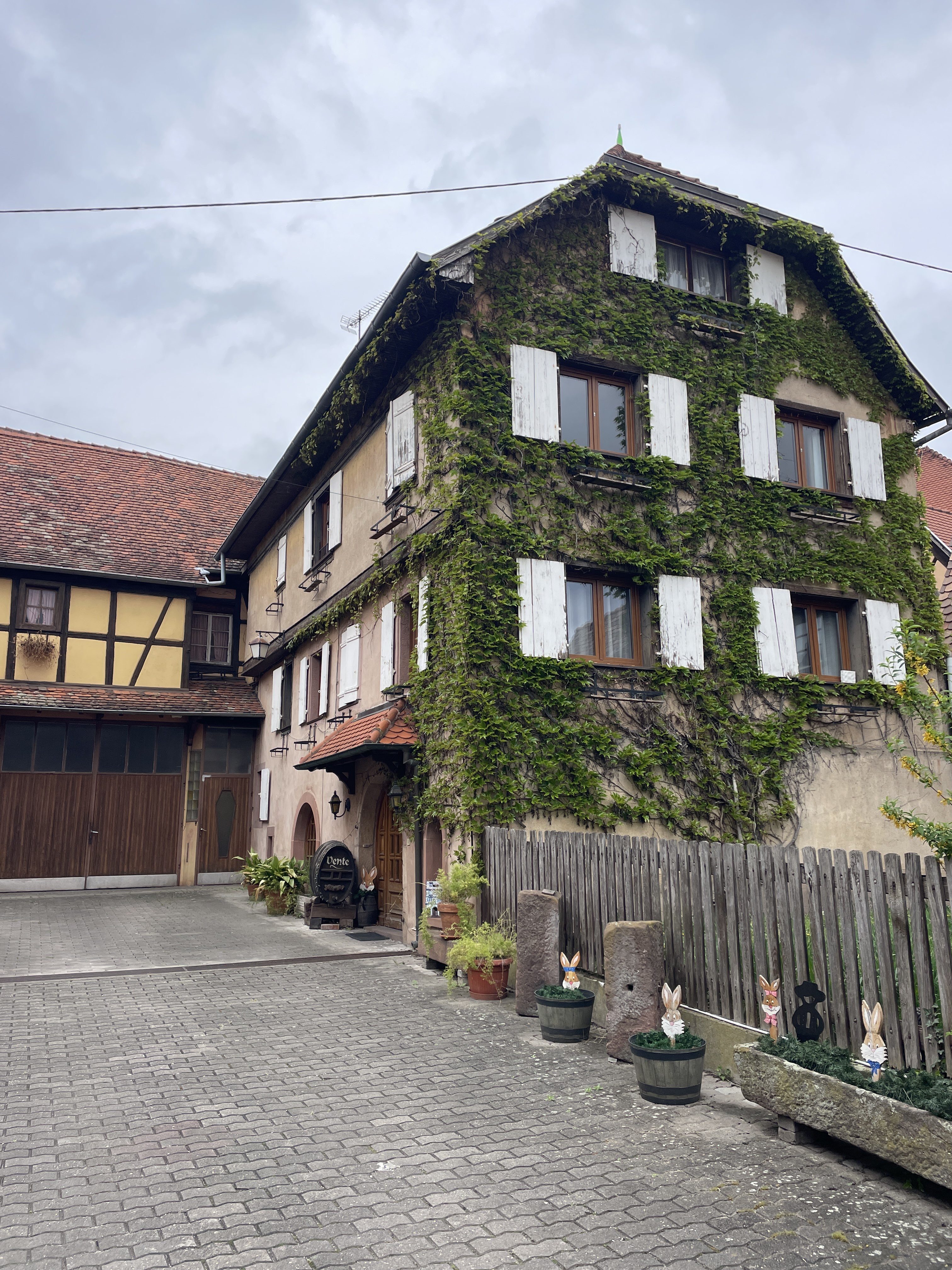 6 Rue du Maréchal Foch, 67650 Dambach-la-Ville, France / 10-04-2026 11:37 / 12.37 °C en bewolkt / 206 m