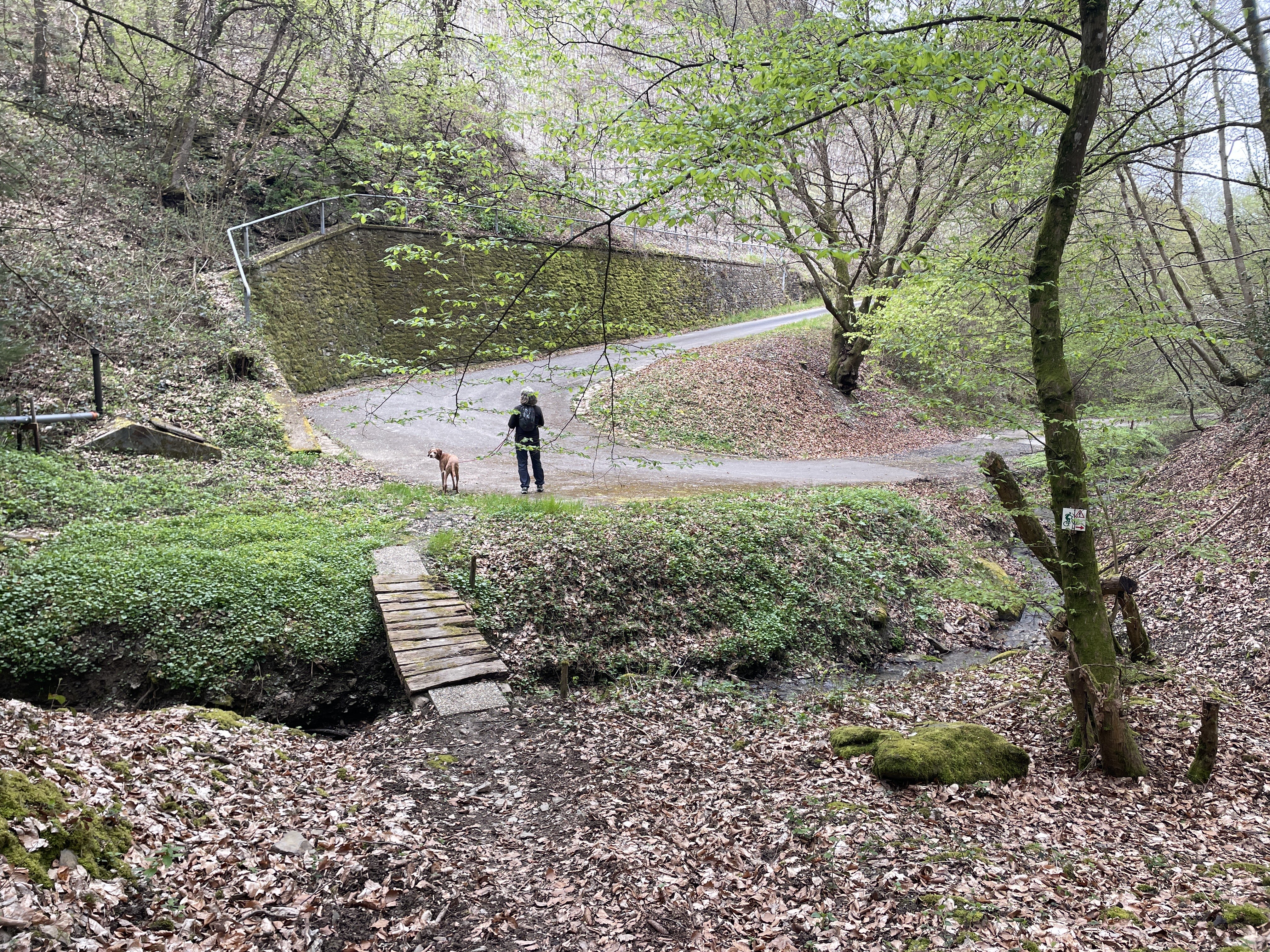 RR6J+FM Pölich, Germany / 12-04-2026 16:15 / 11.81 °C en bewolkt / 205 m