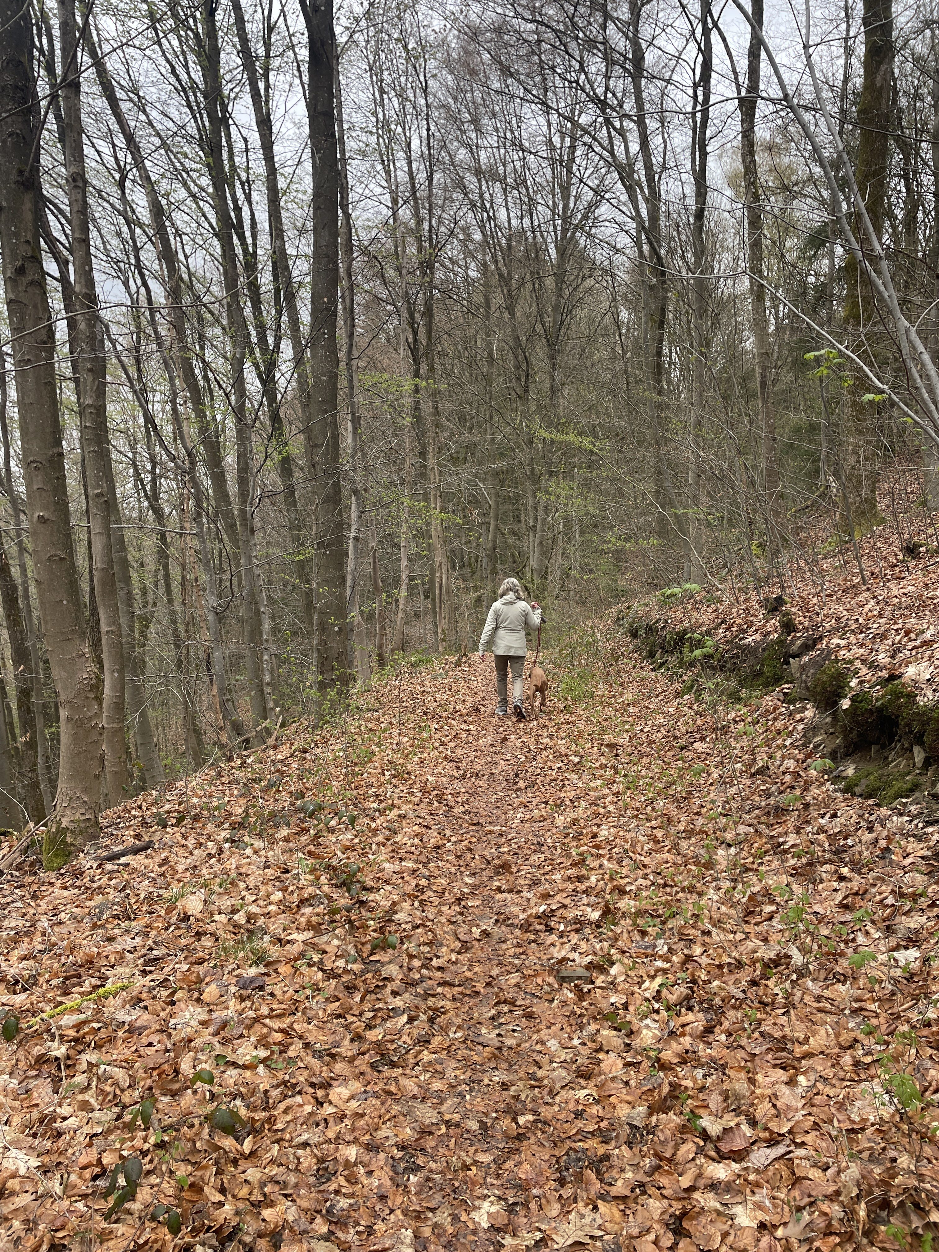 Prümtalstraße 12, 54595 Prüm, Germany / 13-04-2026 15:51 / 6.37 °C en lichte regen / 463 m