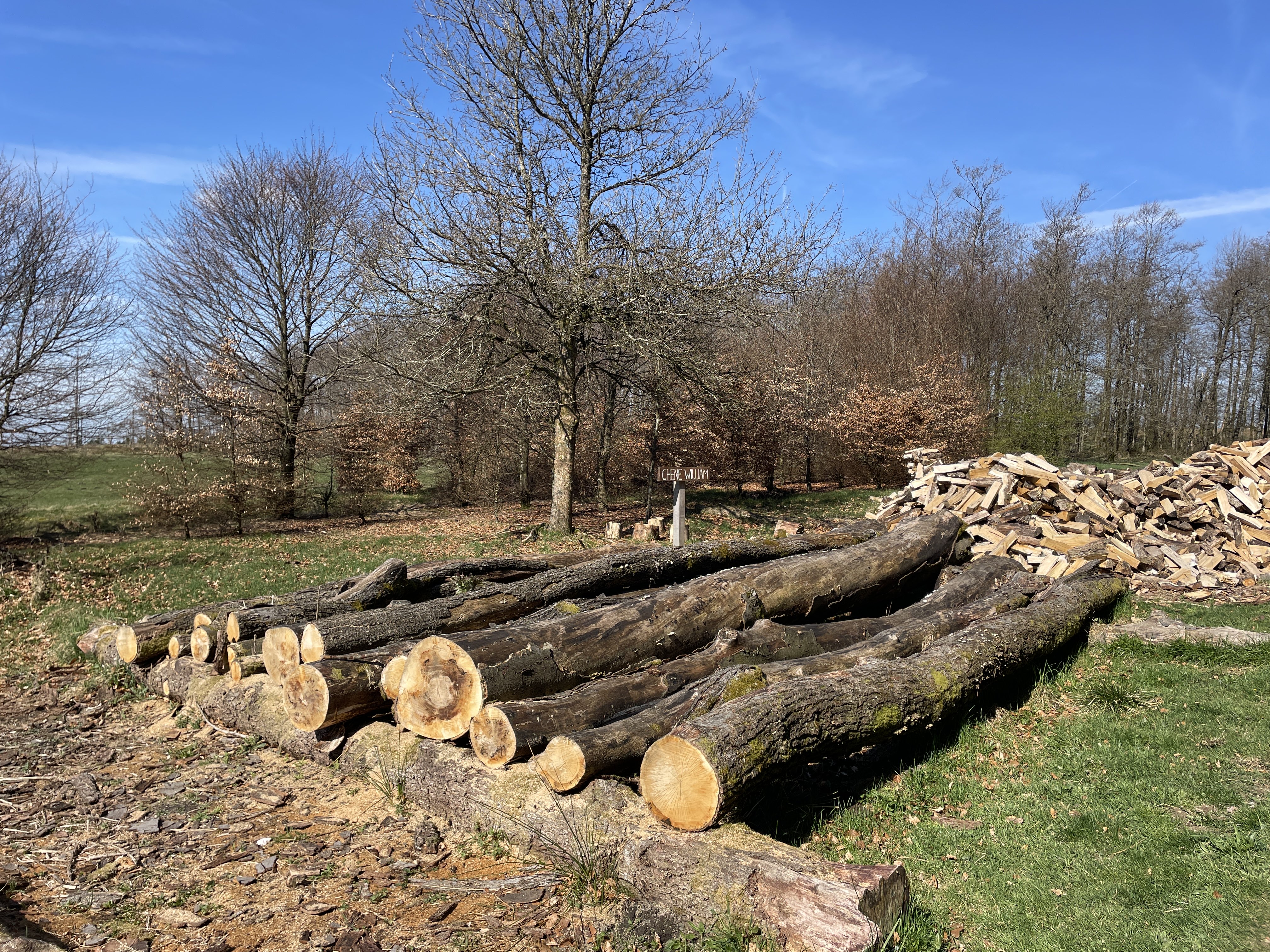 F3WX+4F Waimes, Belgium / 15-04-2026 10:56 / 12.54 °C en bewolkt / 665 m