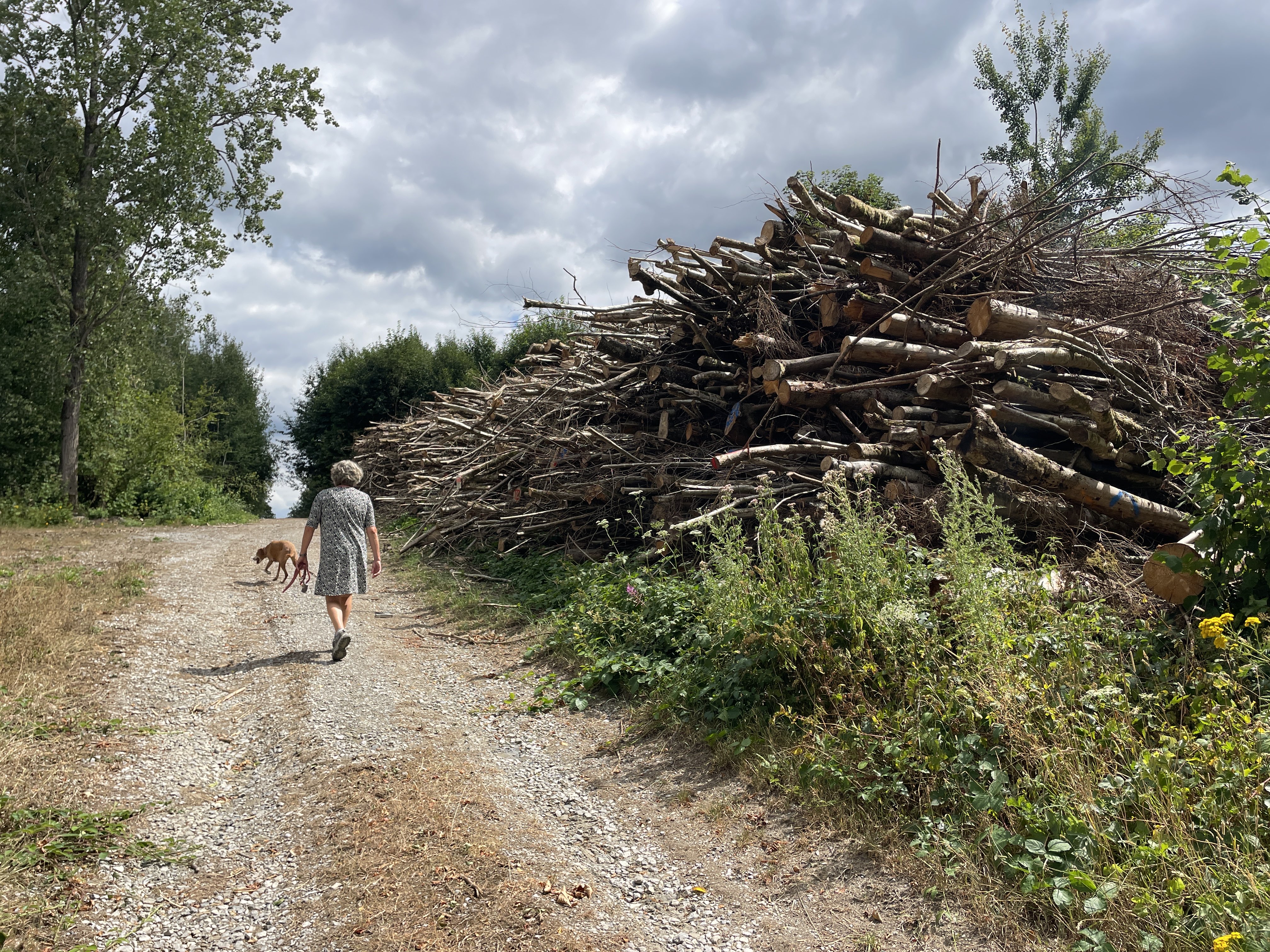 42M7+FQ Felleries, France / 27-07-2026 15:16 / 27.46 °C en onbewolkt / 187 m