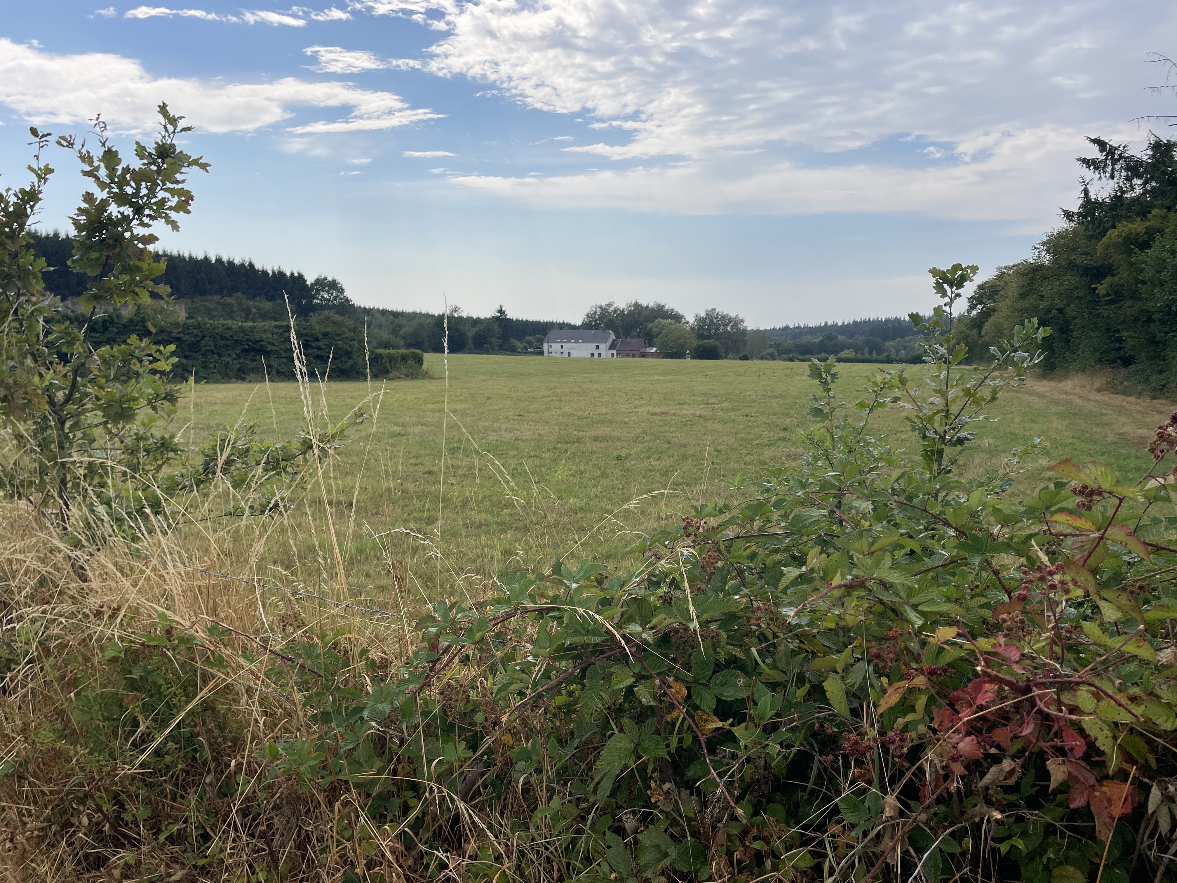 Chau. de l'Europe 45, 5660 Couvin, Belgium / 30-07-2026 16:02 / 24.61 °C en half bewolkt / 369 m