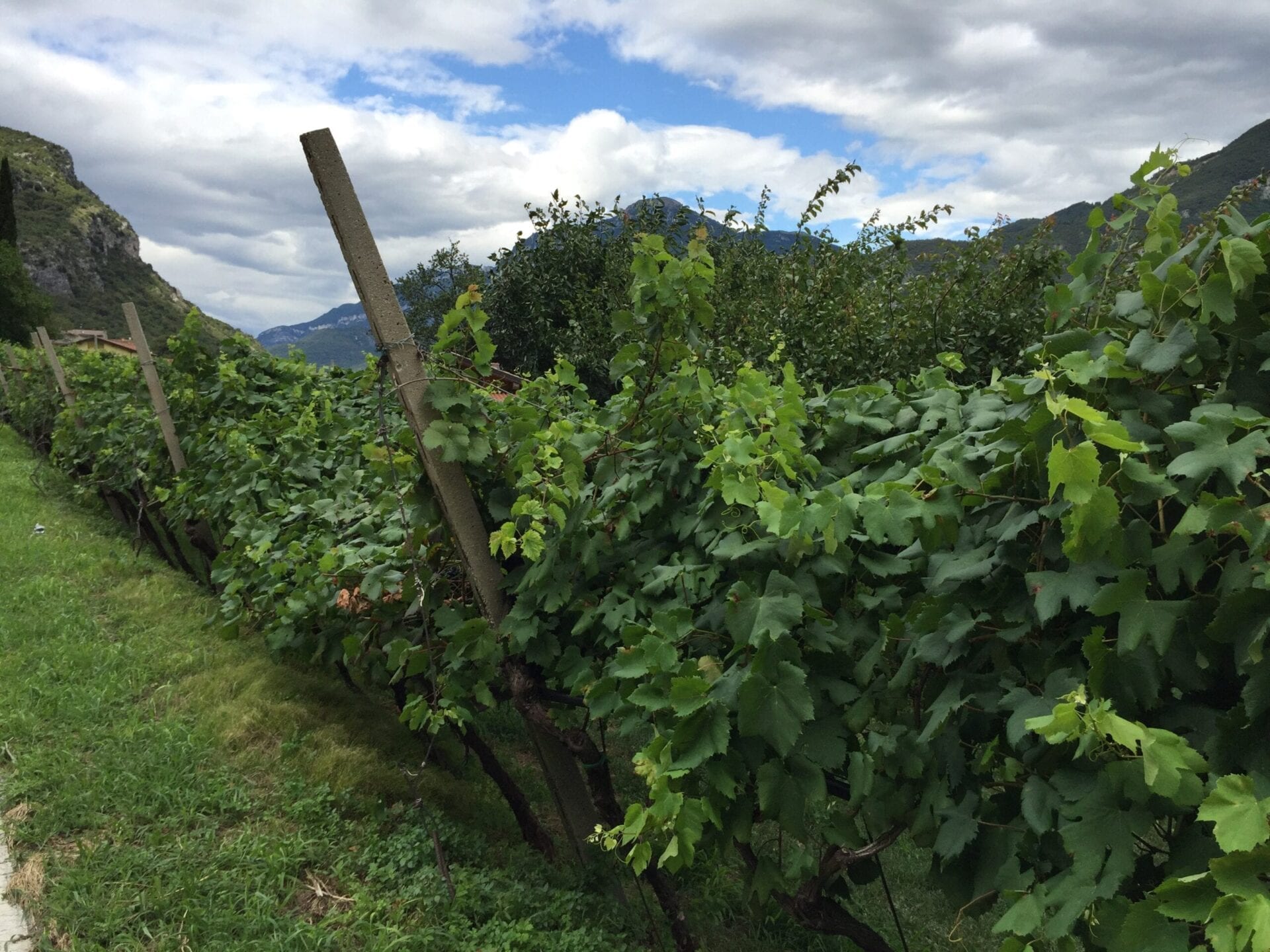Via Santuario, 37020 Brentino Belluno VR, Italy / 04-08-2020 16:49 / 19.3 °C en onbewolkt