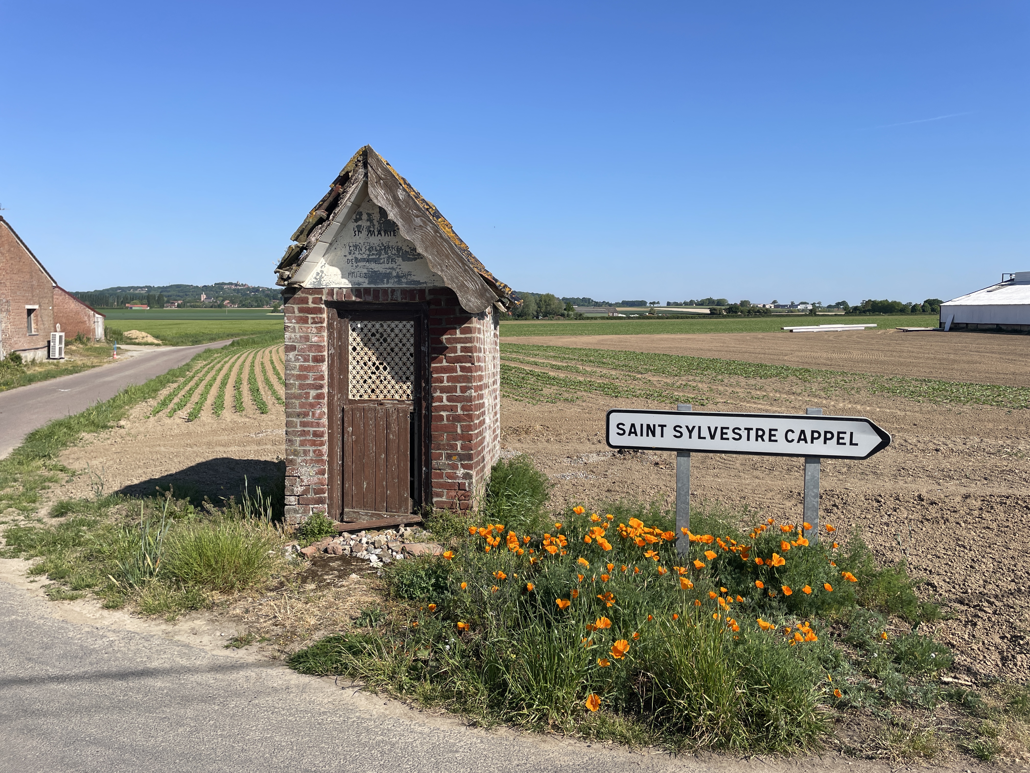_Saint-Sylvestre-Cappel_
