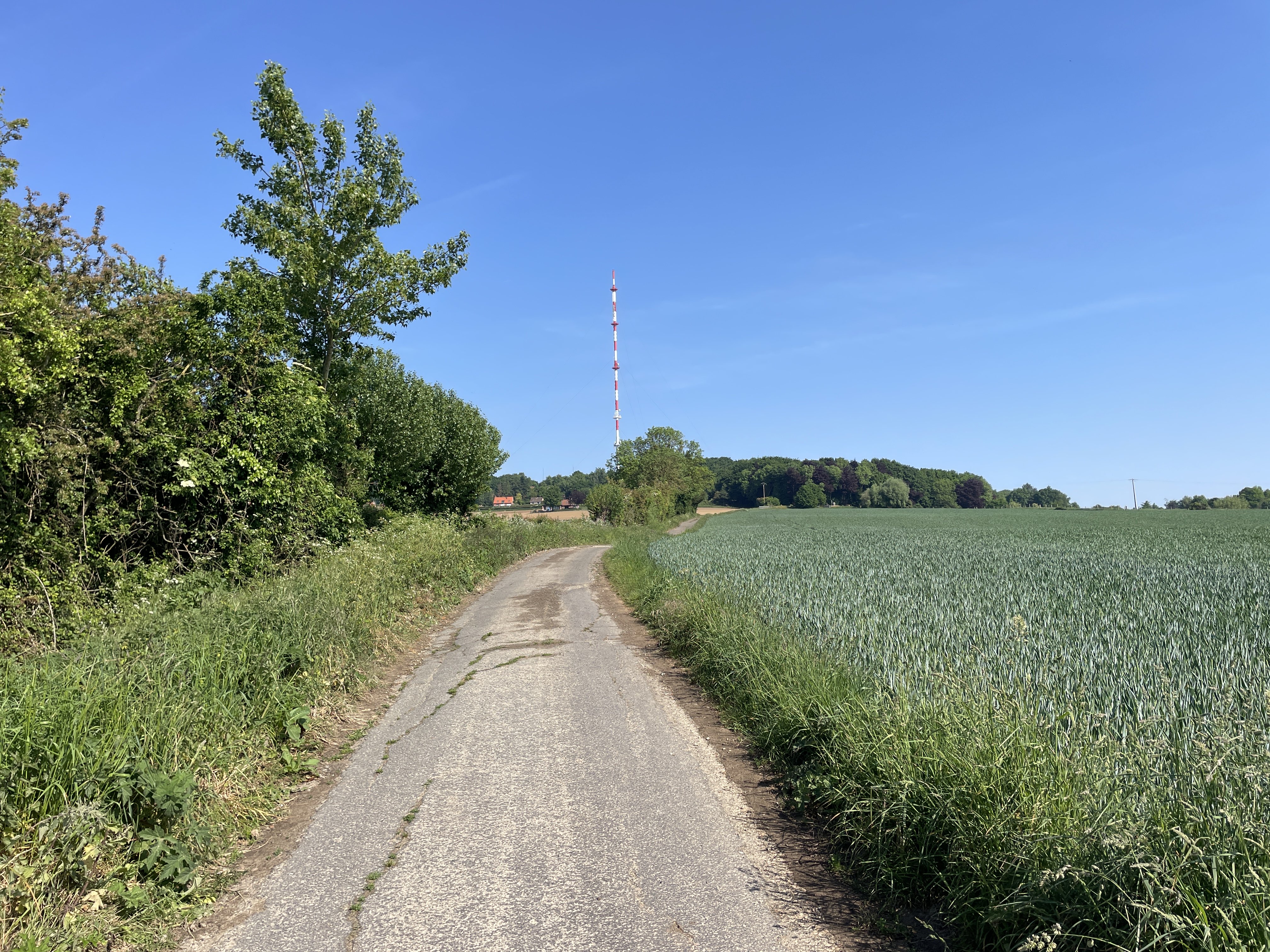 QMGG+76 Méteren, France / 13-05-2025 10:44 / 22.83 °C en licht bewolkt