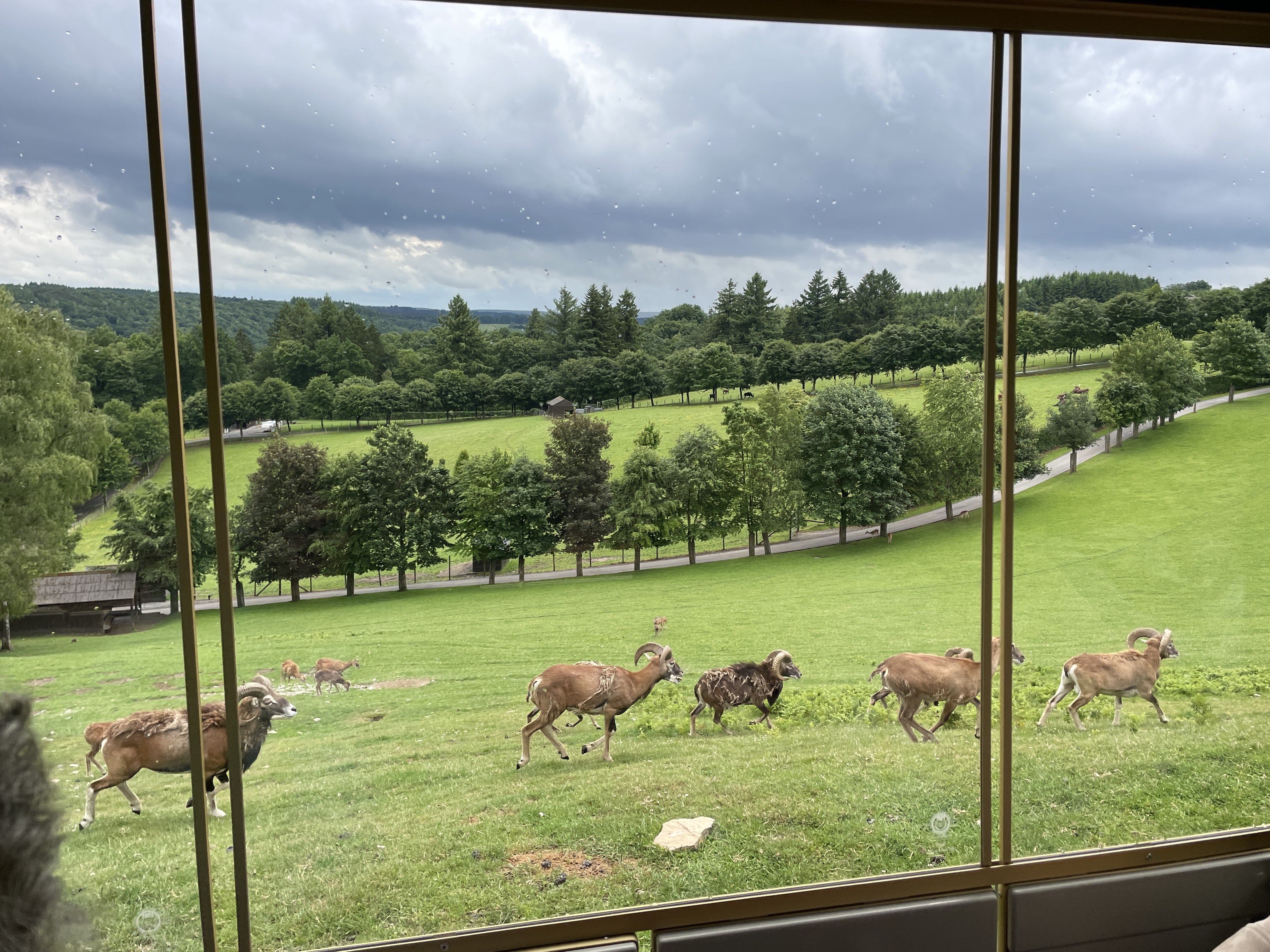 Voie de Remifontaine, 6830 Bouillon, Belgium / 07-06-2025 14:24 / 14.22 °C en half bewolkt