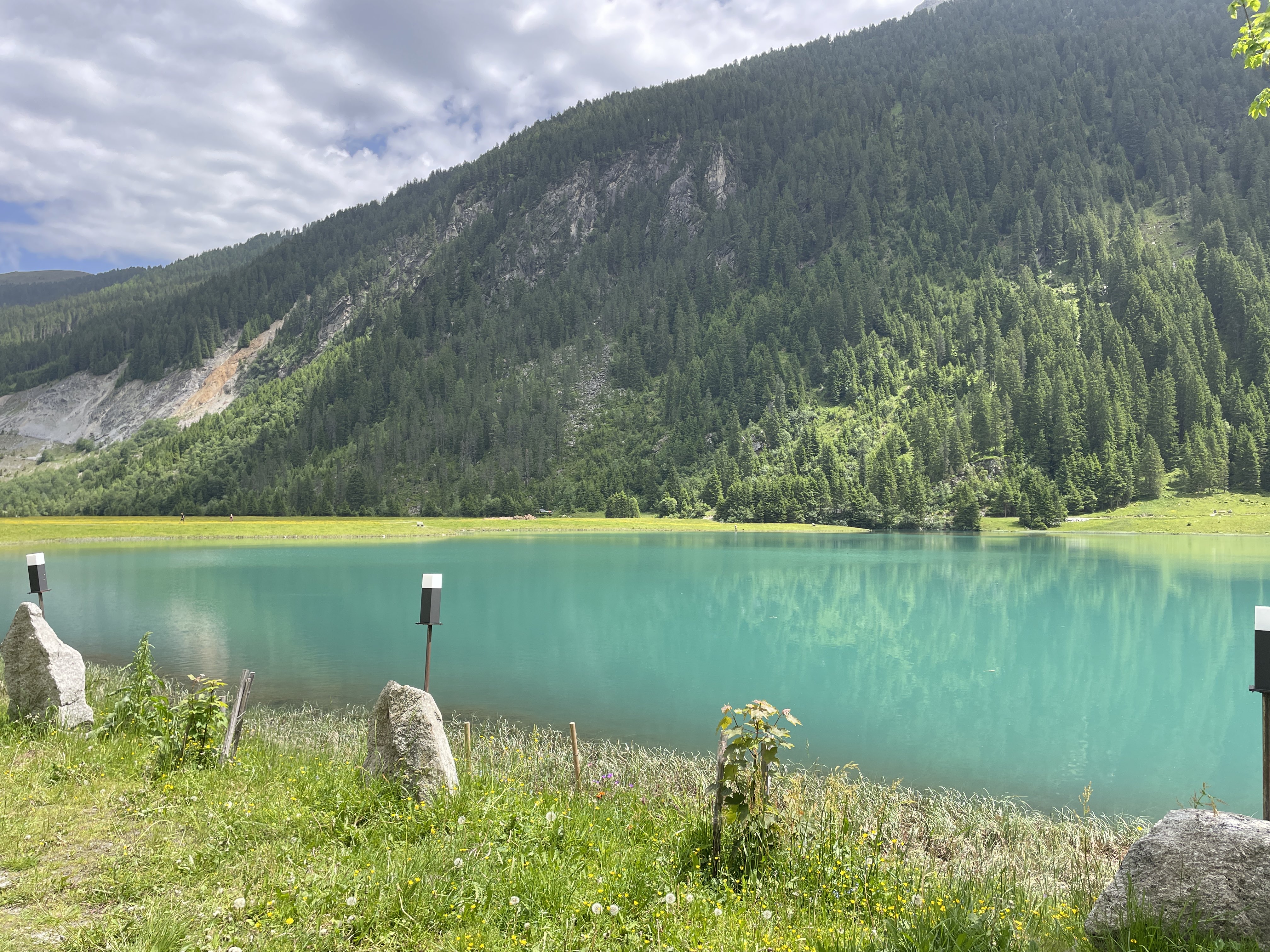 6434+RF Wald im Pinzgau, Austria / 14-06-2025 12:46 / 26.06 °C en licht bewolkt
