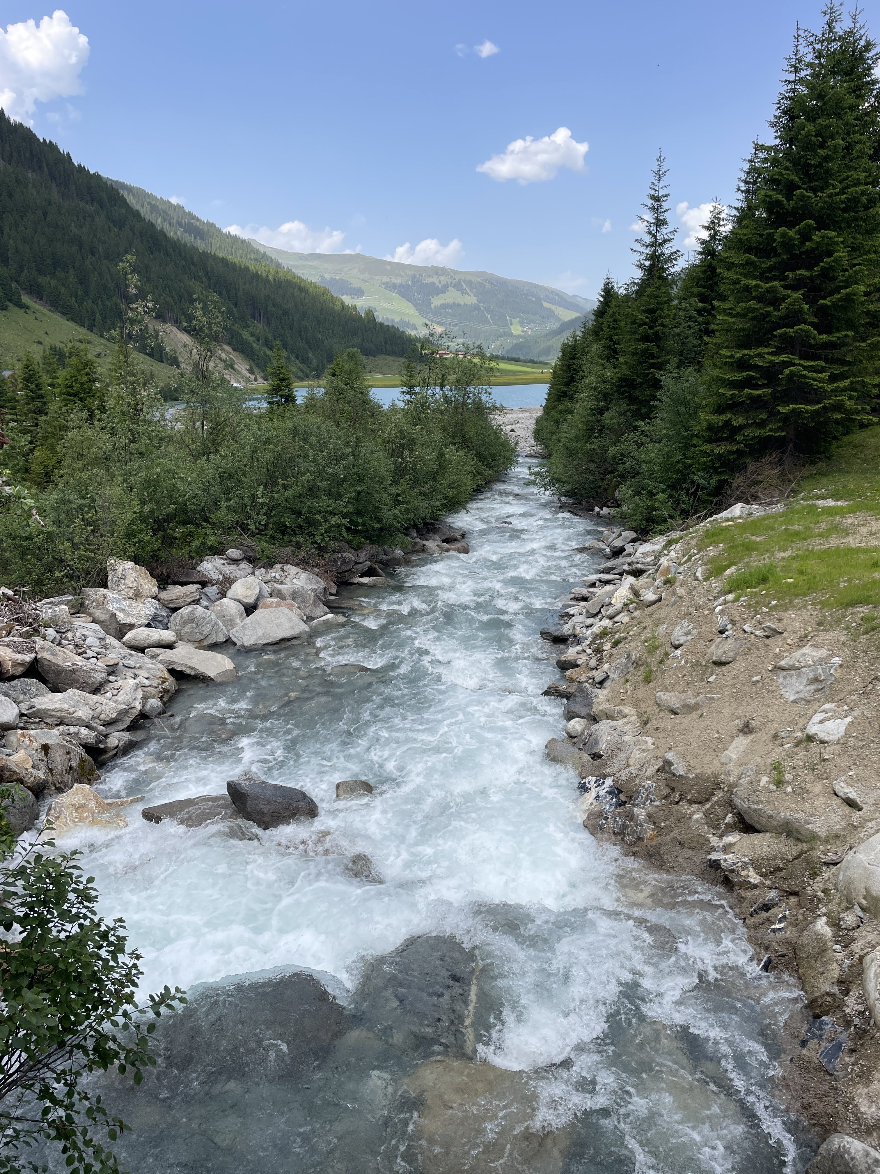 54X5+V4 Wald im Pinzgau, Austria / 14-06-2025 14:34 / 27 °C en lichte regen