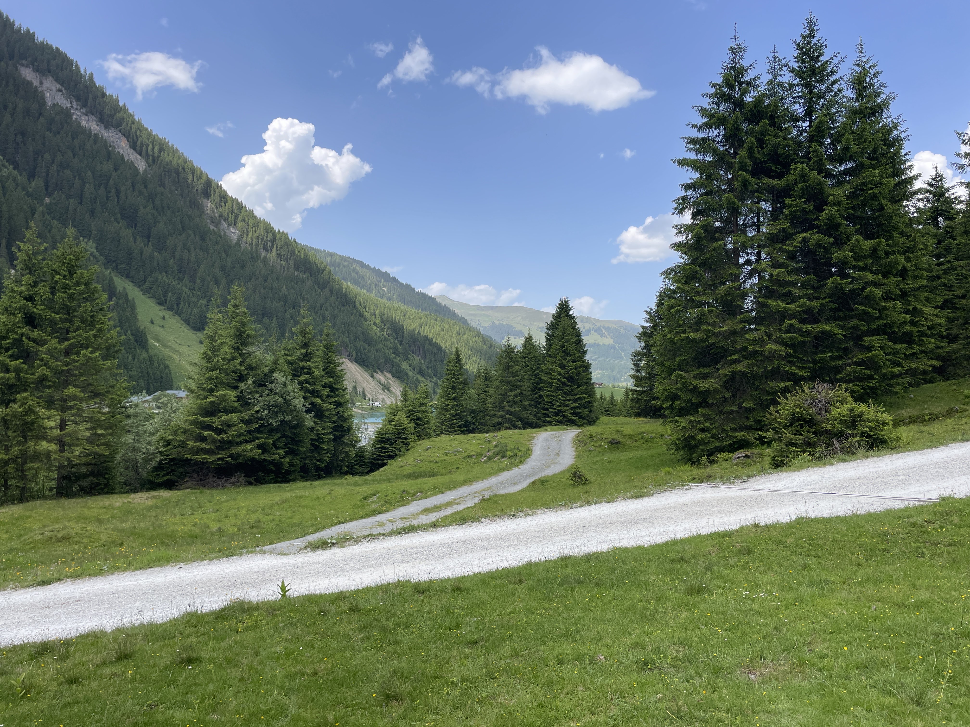 54X5+V8 Wald im Pinzgau, Austria / 14-06-2025 14:35 / 26.4 °C en lichte regen