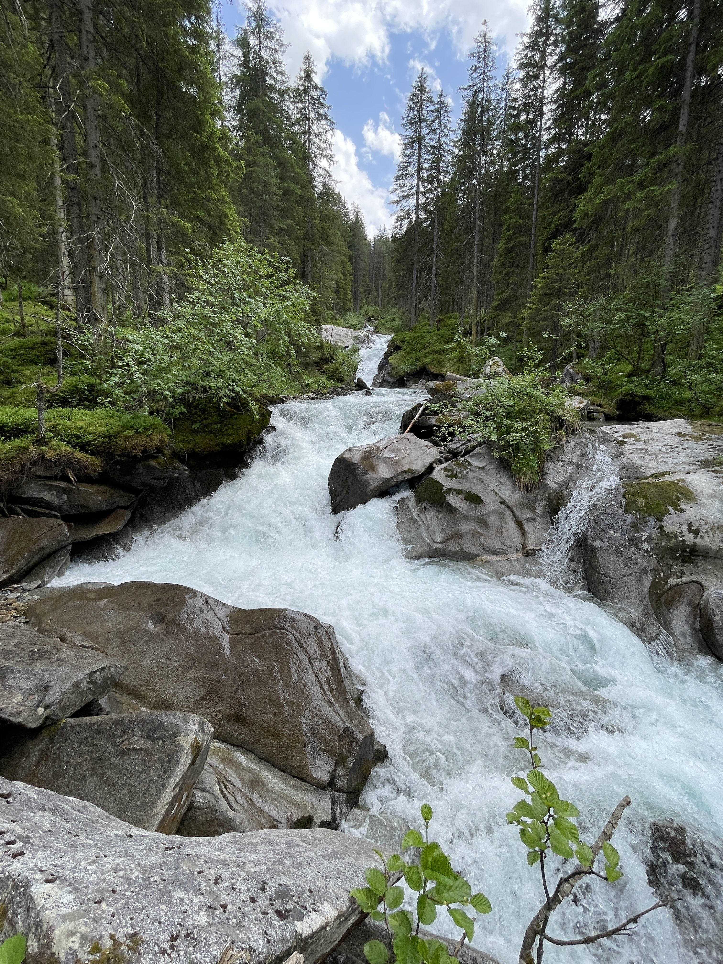 54X5+F8 Wald im Pinzgau, Austria / 14-06-2025 14:39 / 27 °C en lichte regen