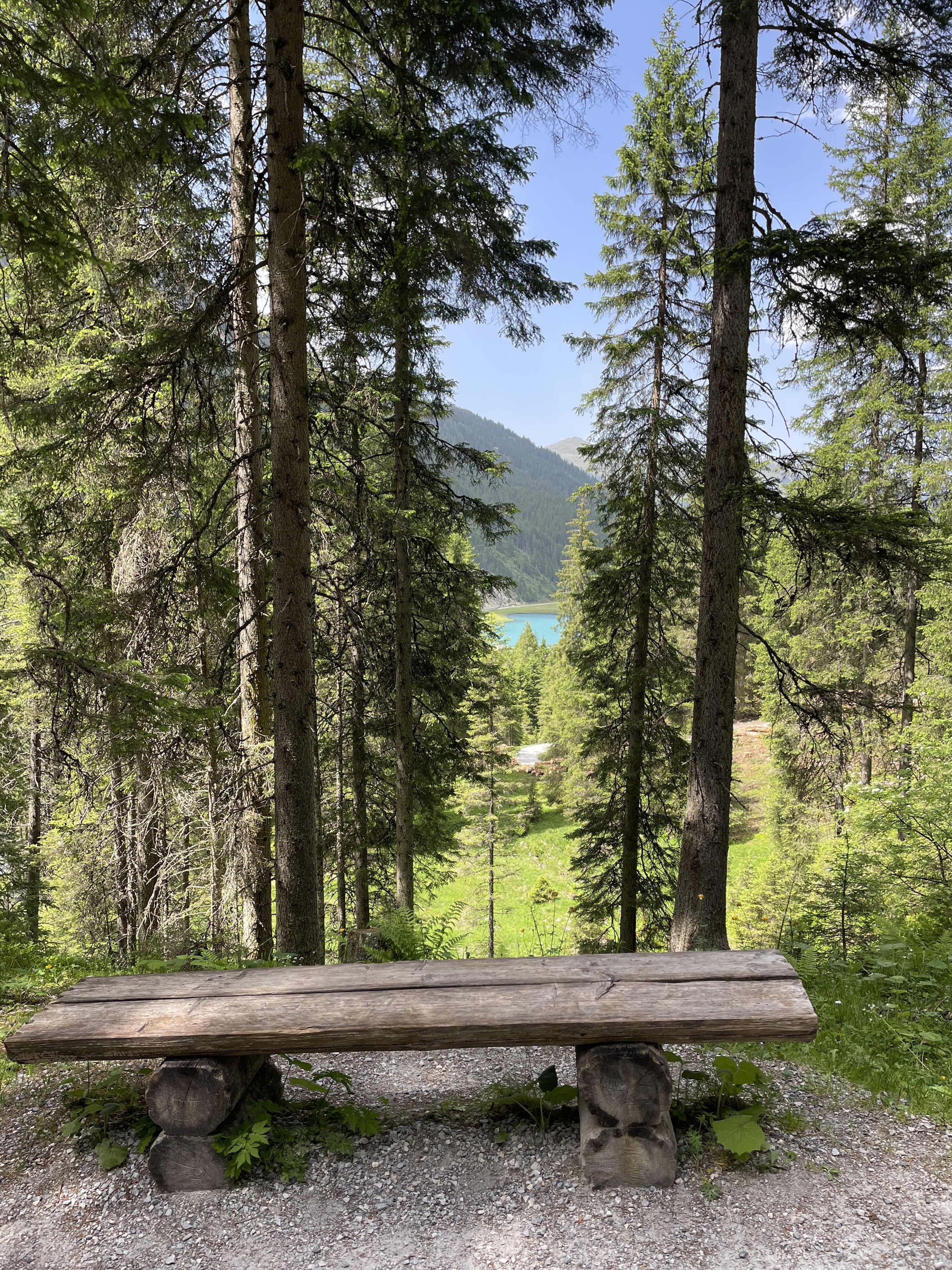 54X5+5P Wald im Pinzgau, Austria / 14-06-2025 14:42 / 26.43 °C en lichte regen