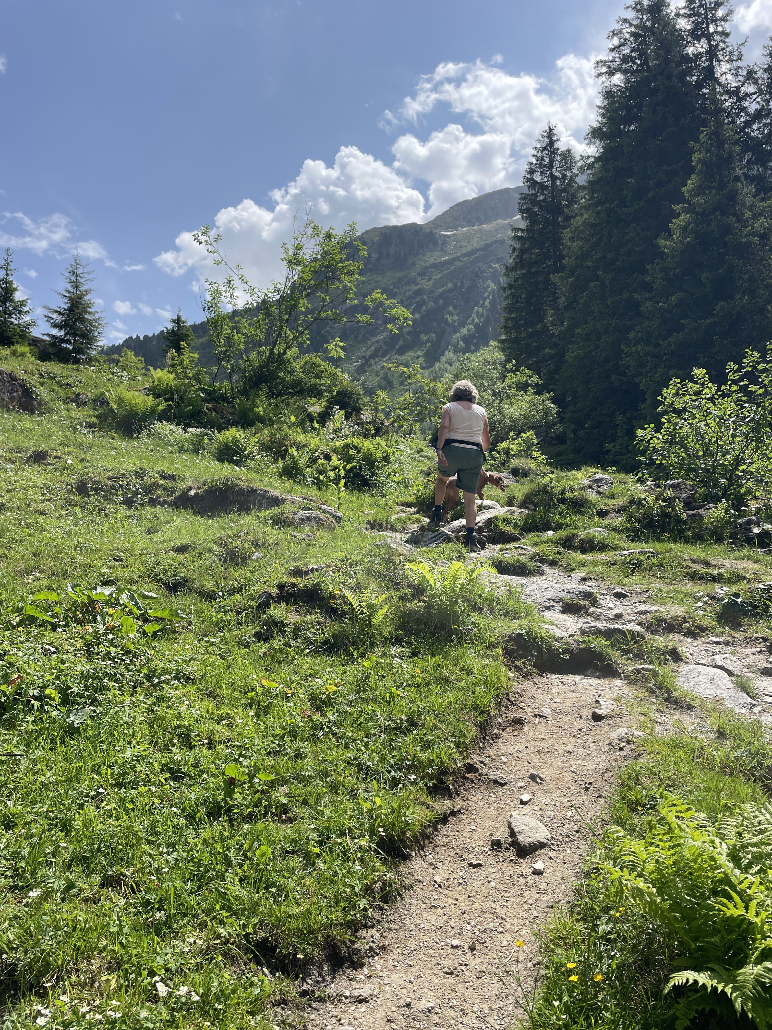54W5+3R Wald im Pinzgau, Austria / 14-06-2025 15:01 / 24.76 °C en matige regen