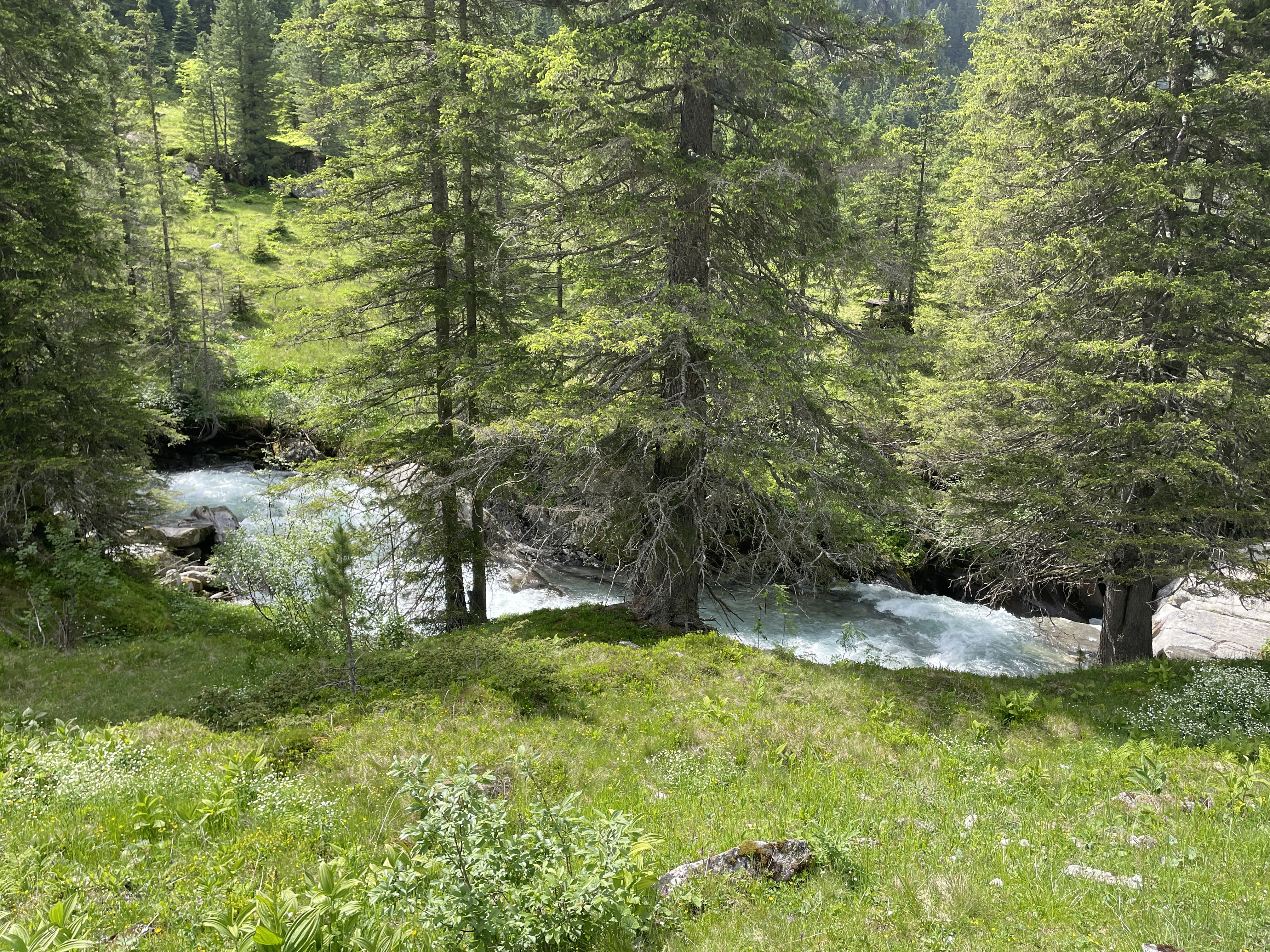 Zittauer Hütte im Wildgerlostal, 5743, Austria / 14-06-2025 15:33 / 23.65 °C en zeer lichte bewolking