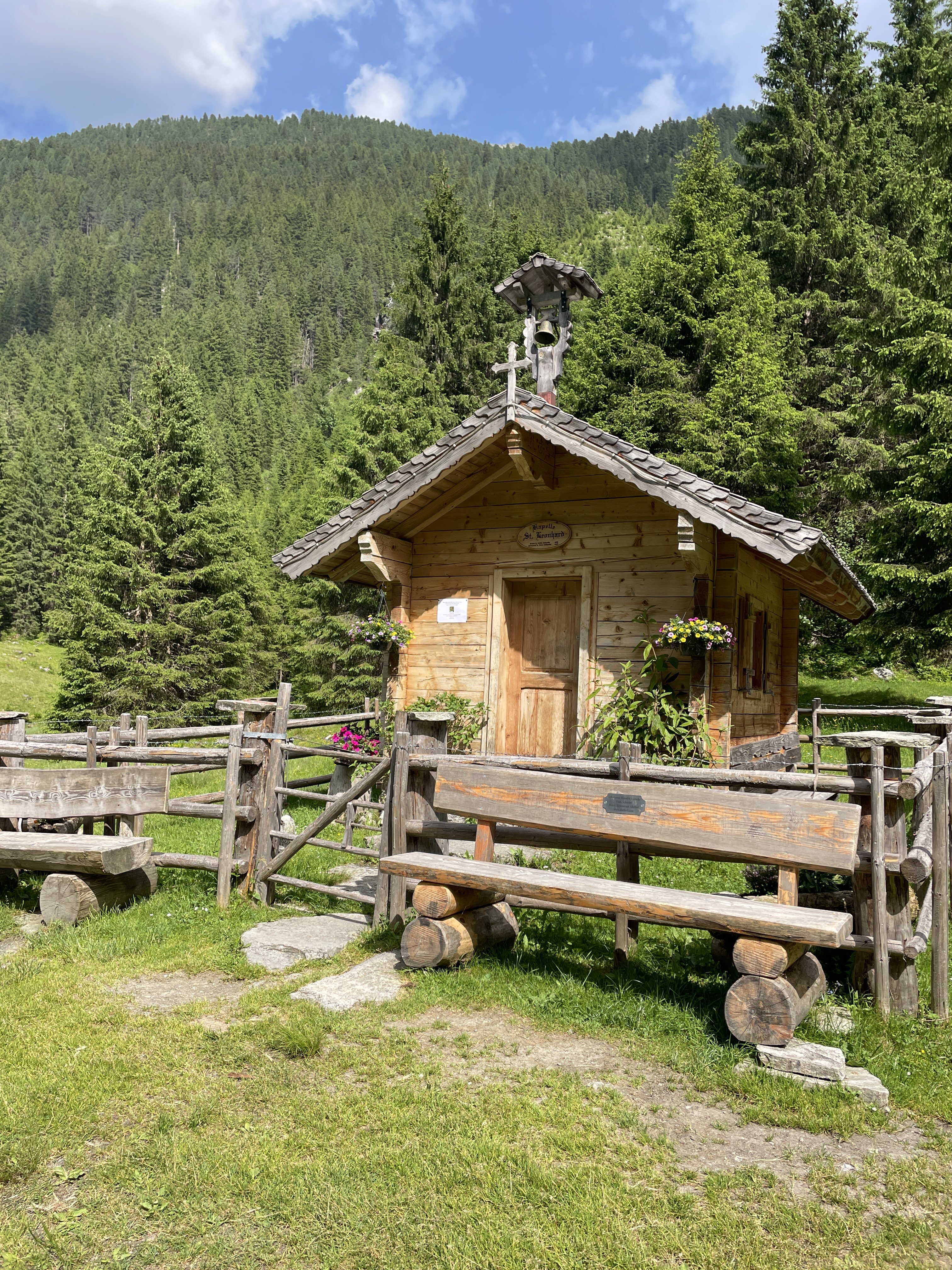 6425+89 Wald im Pinzgau, Austria / 14-06-2025 16:01 / 24.22 °C en zeer lichte bewolking
