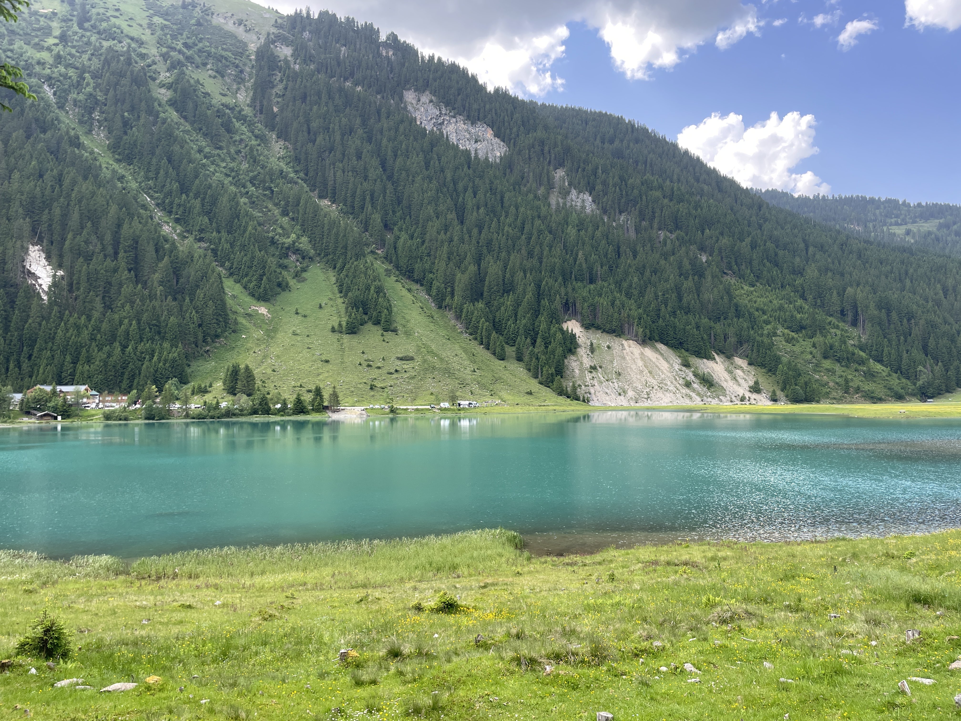 6436+84 Wald im Pinzgau, Austria / 14-06-2025 16:06 / 24.42 °C en zeer lichte bewolking