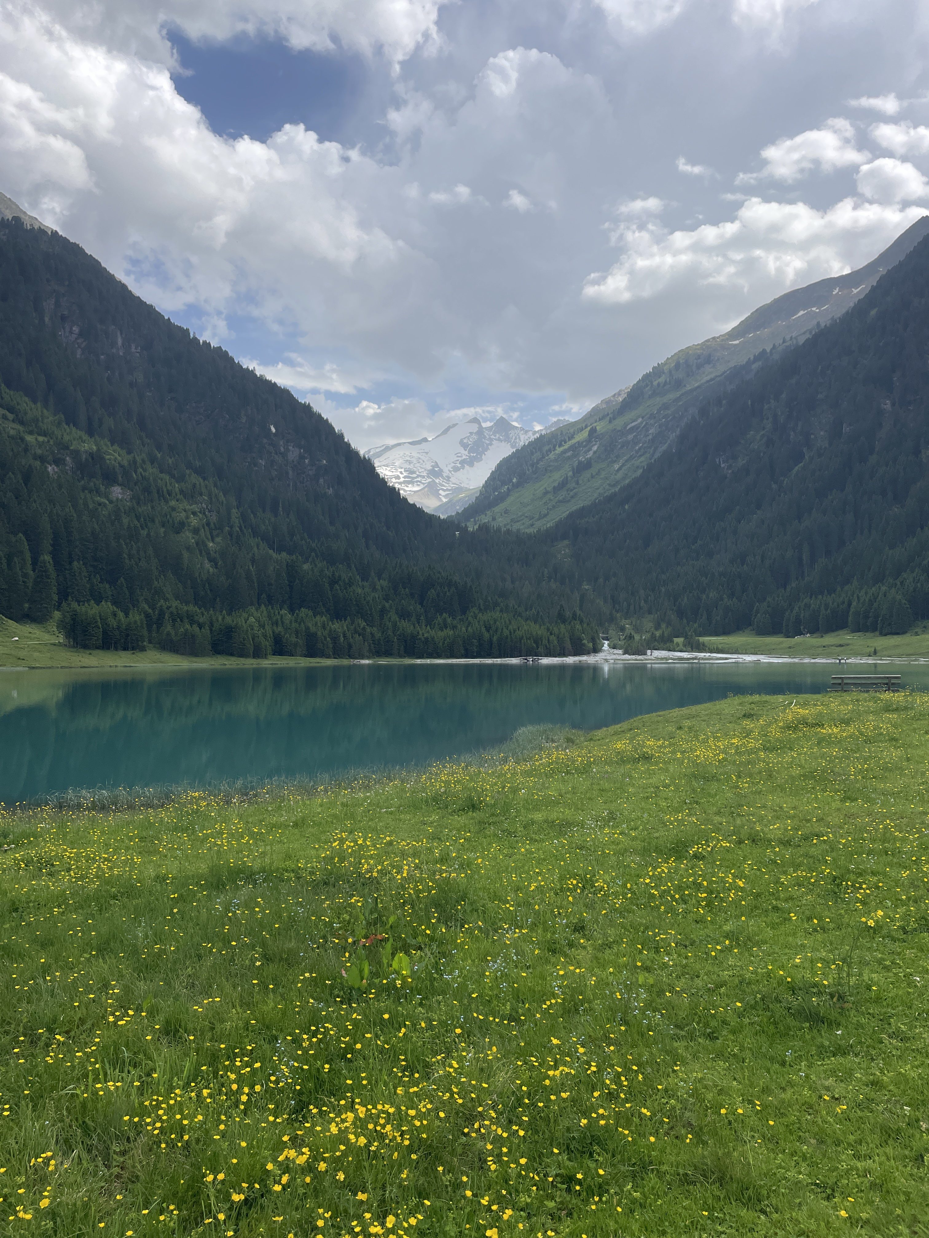 6445+6C Wald im Pinzgau, Austria / 14-06-2025 16:15 / 24.42 °C en zeer lichte bewolking
