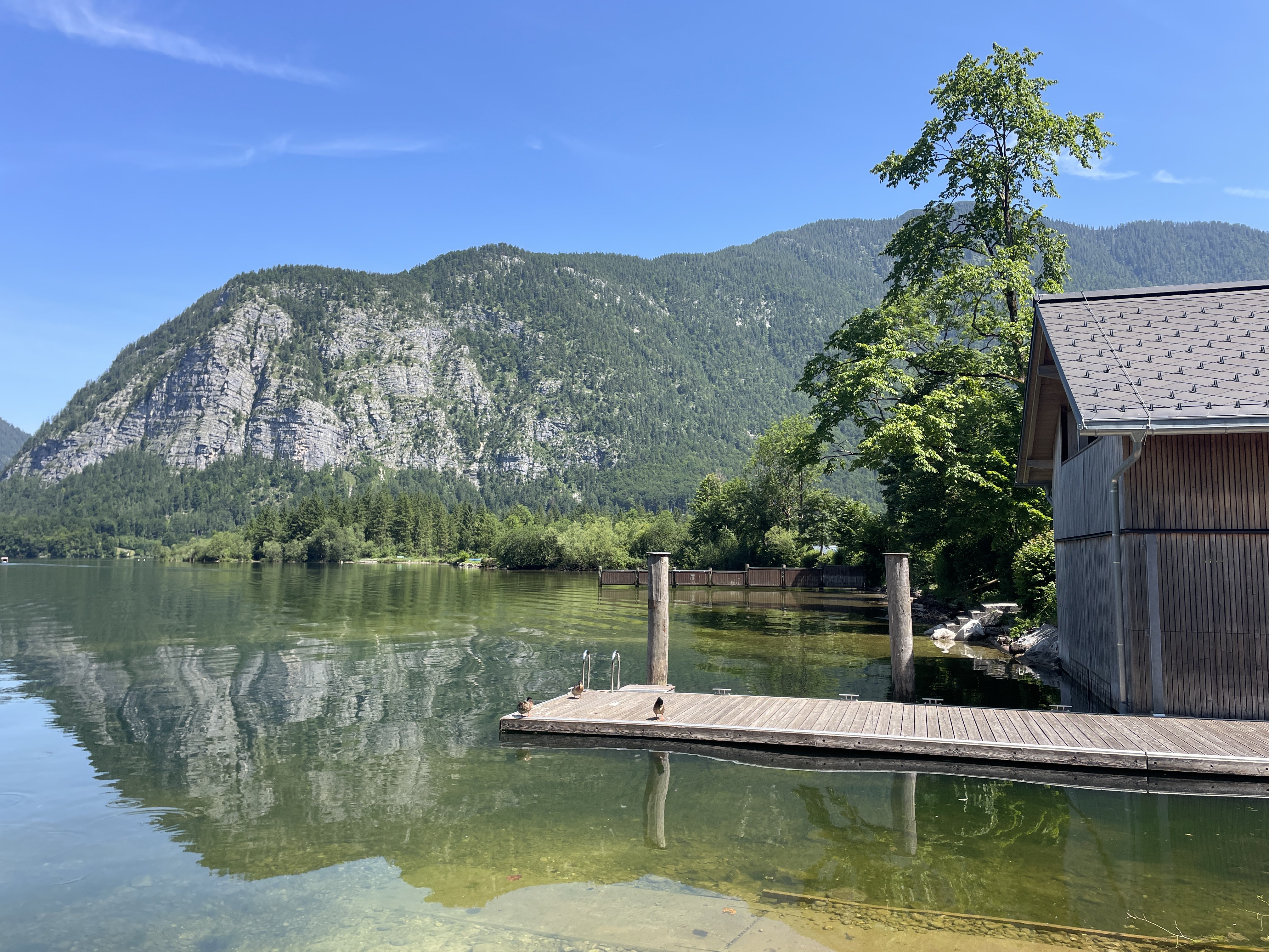 Winkl hinter, 4831 Obertraun, Austria / 18-06-2025 11:17 / 27.44 °C en bewolkt