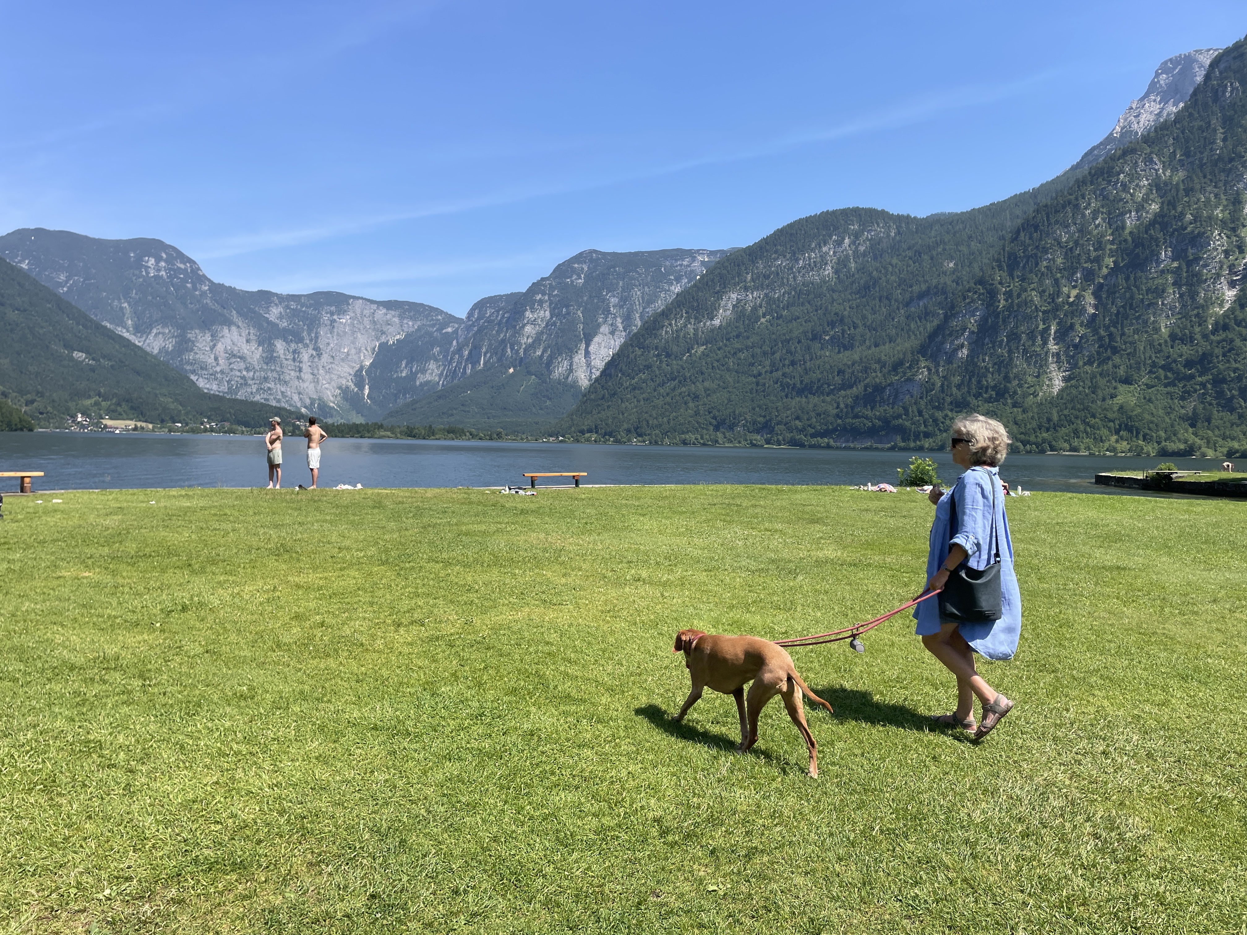 Insel, Seelände 53, 4830 Hallstatt, Austria / 18-06-2025 14:50 / 25.67 °C en zeer lichte bewolking