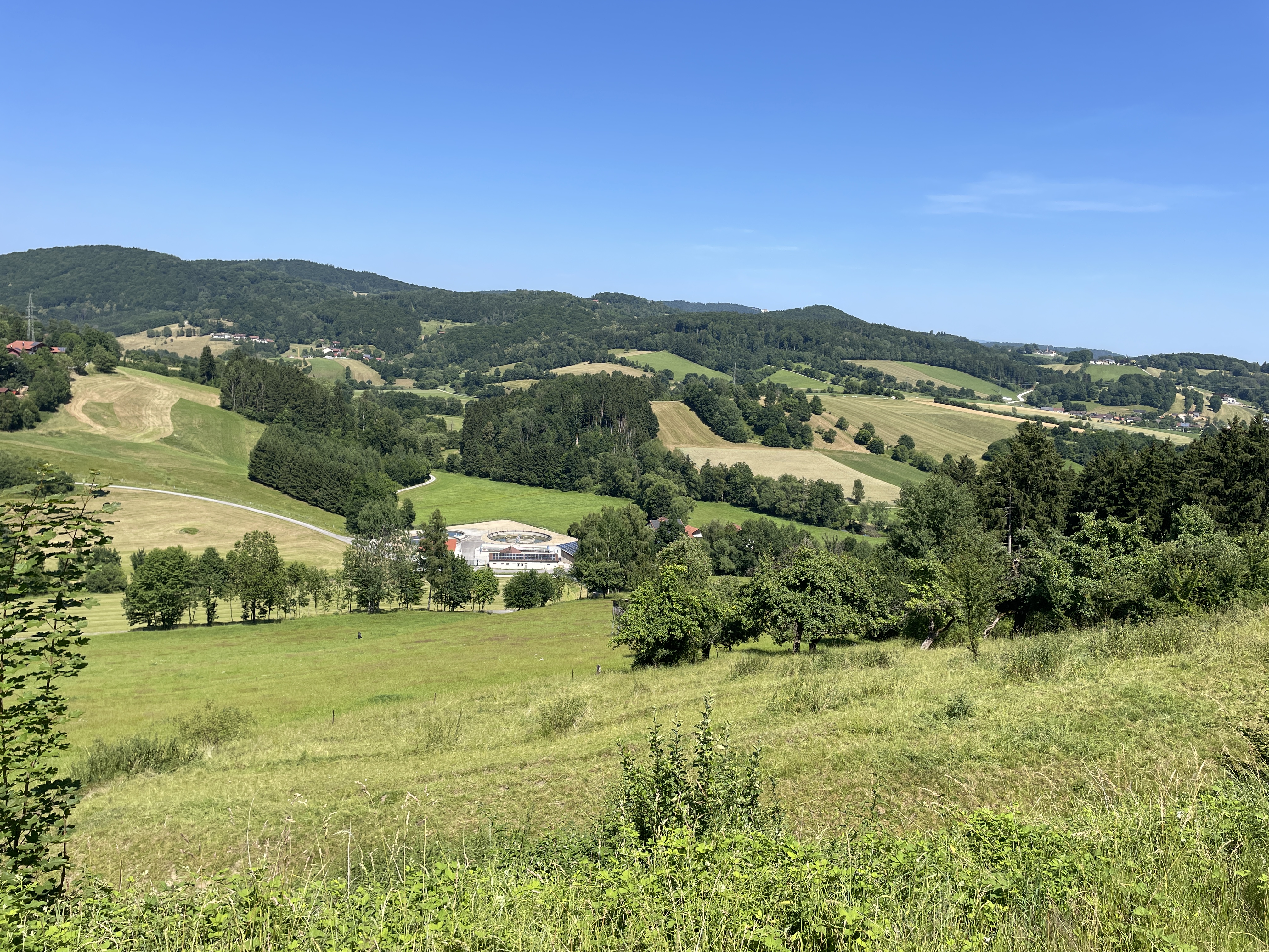 Perlesreut